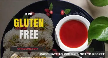 Is Idly Gluten-Free? A Complete Guide to This South Indian Dish