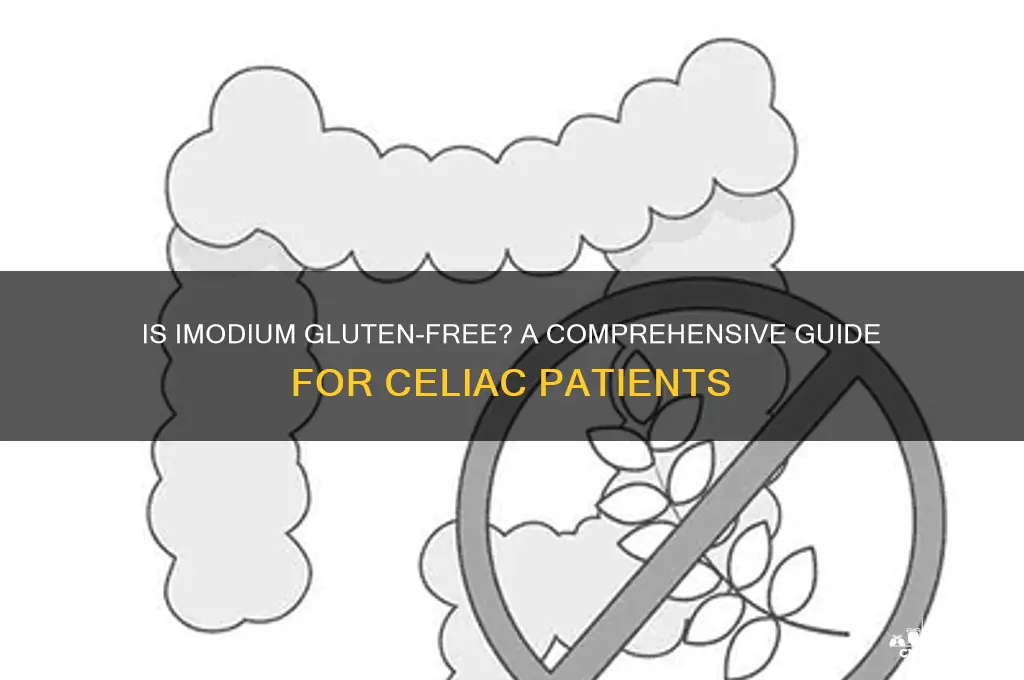 is immodium gluten free