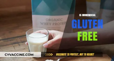 Is Immunocal Gluten-Free? A Comprehensive Guide to Its Ingredients