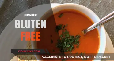 Is Immupro Gluten-Free? A Comprehensive Guide to Its Ingredients