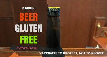 Is Imperial Beer Gluten-Free? Exploring Options for Celiac Drinkers