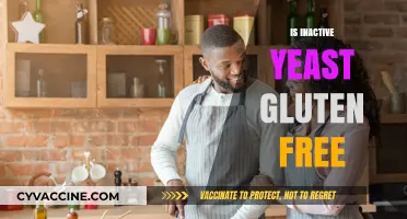 Is Inactive Yeast Gluten-Free? A Clear Answer for Celiacs