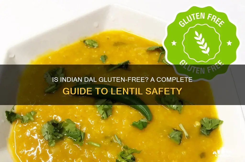is indian dal gluten free