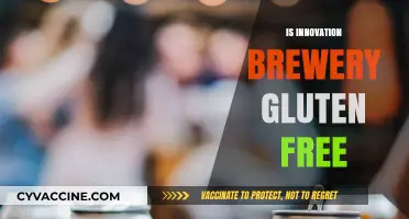 Is Innovation Brewery Gluten-Free? Exploring Their Craft Beer Options