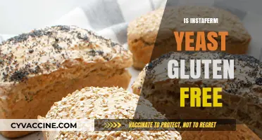 Is Instaferm Yeast Gluten-Free? A Comprehensive Guide for Bakers