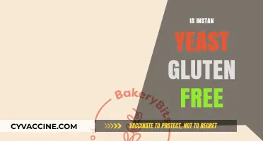 Is Instant Yeast Gluten-Free? A Clear Answer for Bakers