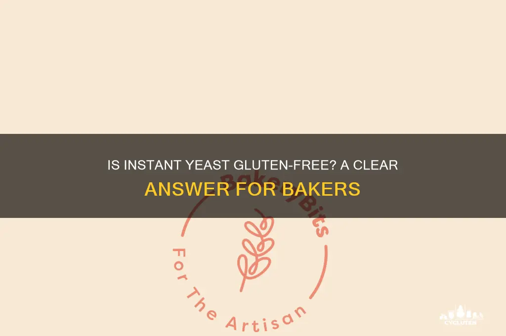 is instan yeast gluten free