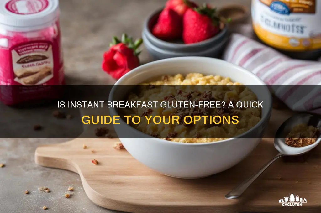 is instant breakfast gluten free
