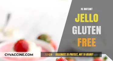 Is Instant Jello Gluten-Free? A Clear Answer for Celiac Diets
