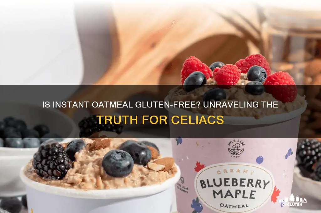 is instant oatmeal gluten free