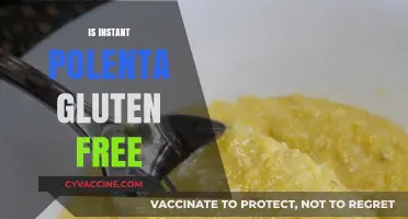 Is Instant Polenta Gluten-Free? A Quick Guide for Celiacs