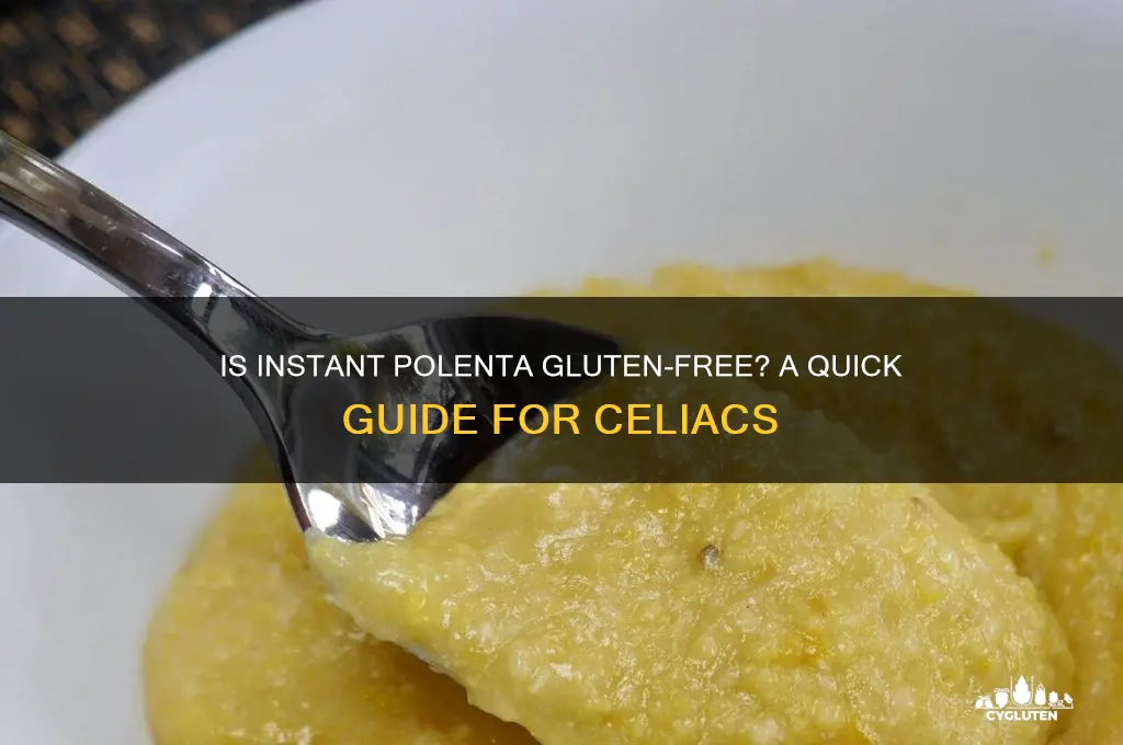 is instant polenta gluten free