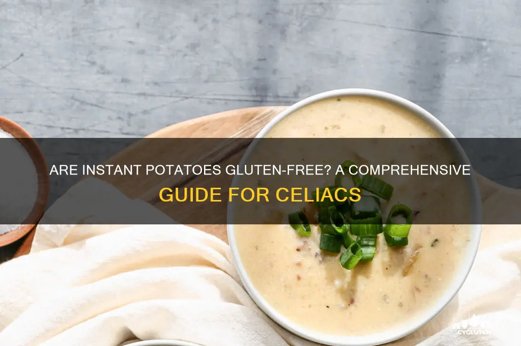 is instant potatoes gluten free