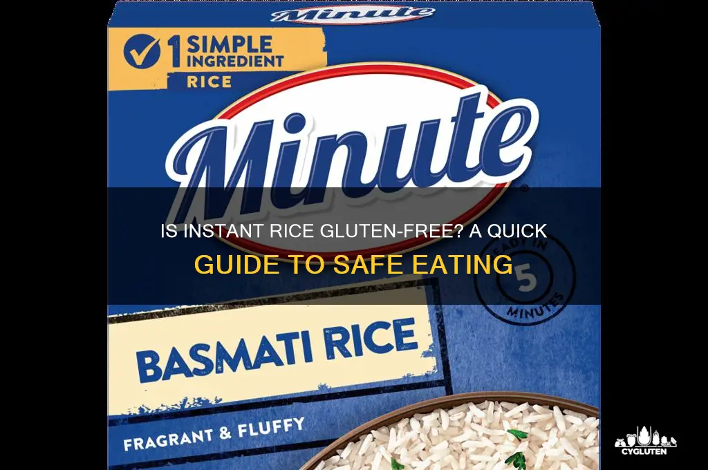 is instant rice gluten free