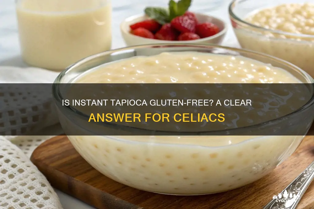 is instant tapioca gluten free