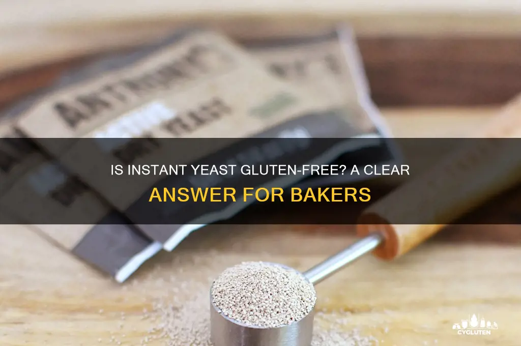 is instant yeast gluten free