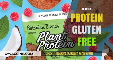 Is Intek Protein Gluten-Free? A Complete Guide for Fitness Enthusiasts