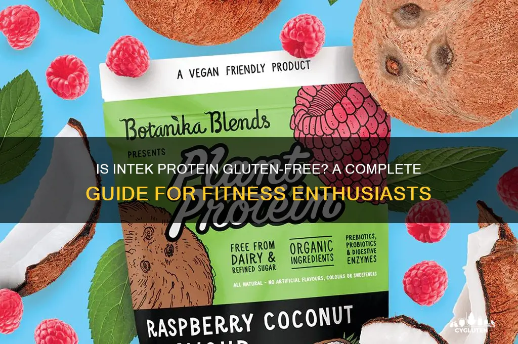 is intek protein gluten free