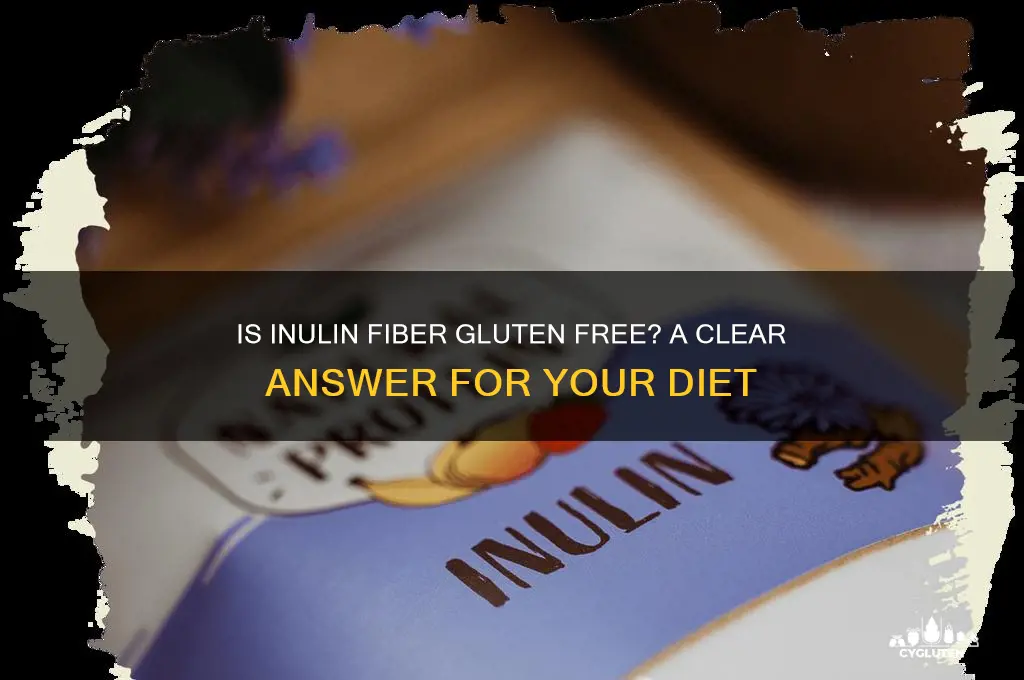is inulin fiber gluten free