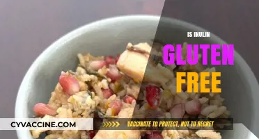 Is Inulin Gluten-Free? Exploring Its Safety for Celiac Diets