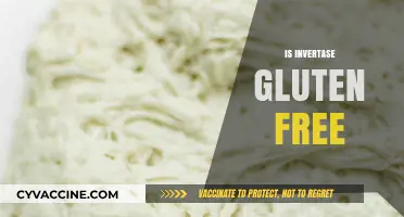 Is Invertase Gluten Free? Exploring Its Safety for Celiac Diets