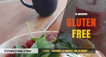 Is Invigor8 Gluten-Free? A Comprehensive Guide to Its Ingredients