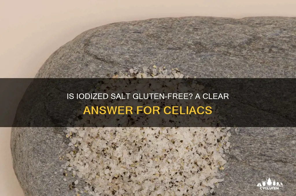 is iodized salt gluten free