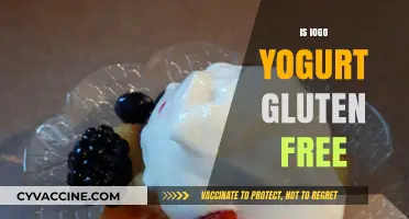 Is Iogo Yogurt Gluten-Free? A Comprehensive Guide for Dietary Needs