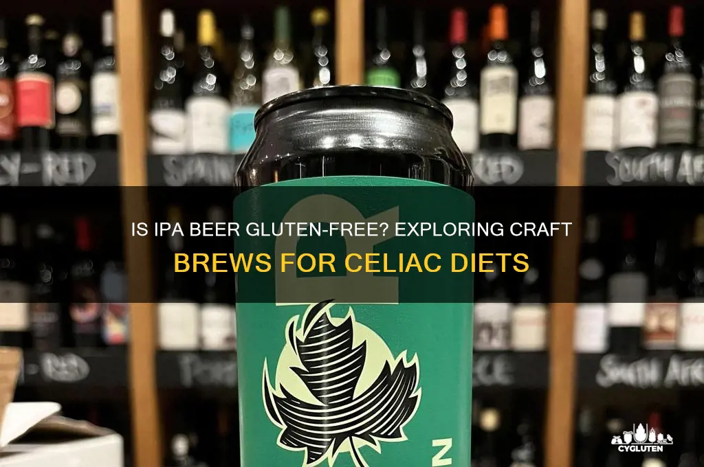 is ipa beer gluten free