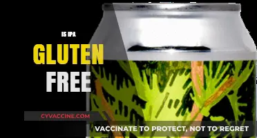 Is IPA Gluten-Free? Exploring Craft Beer Options for Celiac Diets
