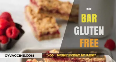 Is IQ Bar Gluten-Free? A Comprehensive Guide to Ingredients