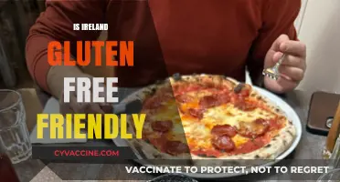 Exploring Ireland: A Gluten-Free Traveler's Guide to Friendly Options