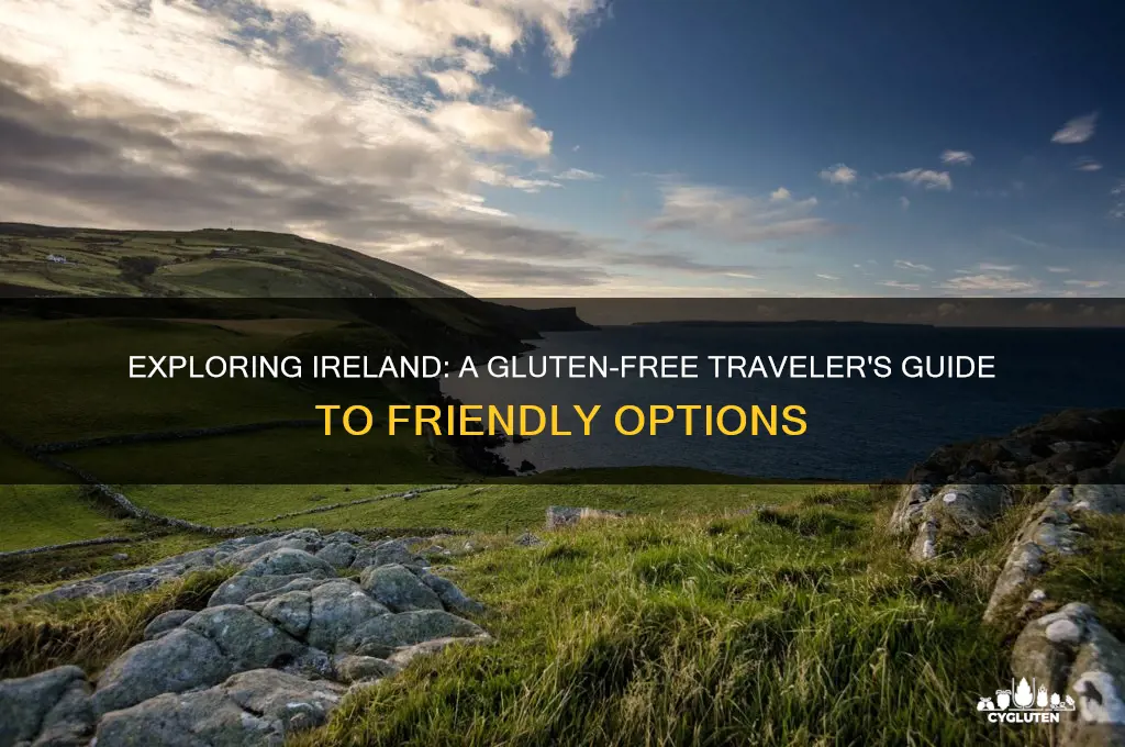 is ireland gluten free friendly