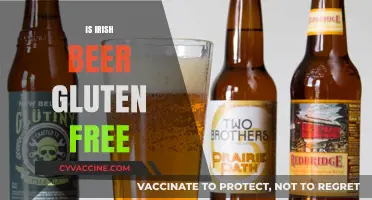Is Irish Beer Gluten-Free? Exploring Options for Celiac Drinkers