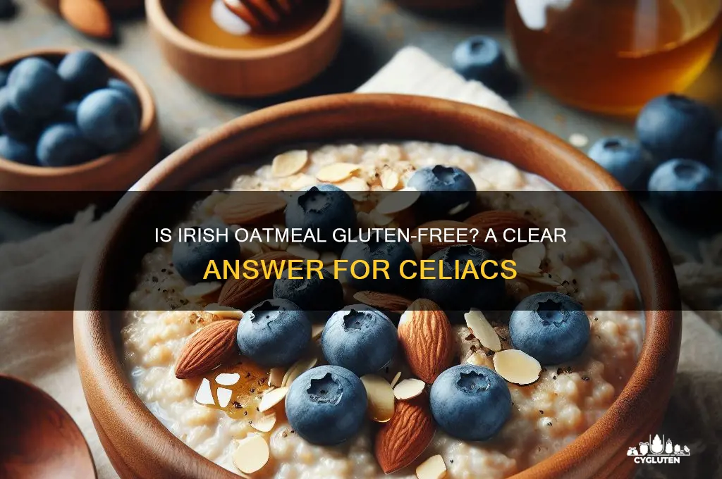 is irish oatmeal gluten free