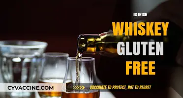 Is Irish Whiskey Gluten-Free? A Guide for Celiac Drinkers