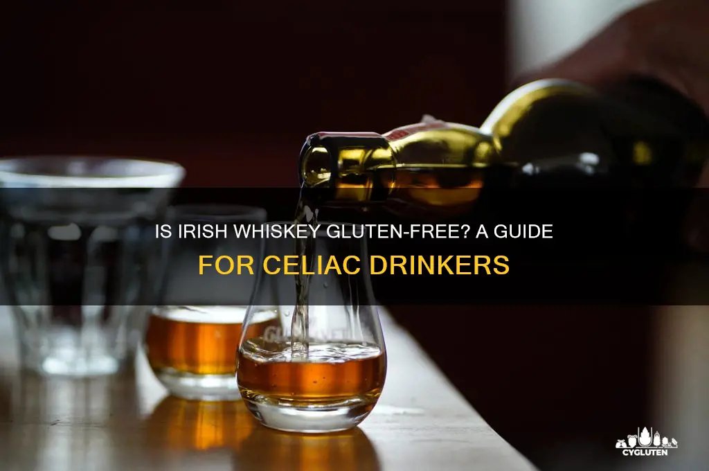 is irish whiskey gluten free
