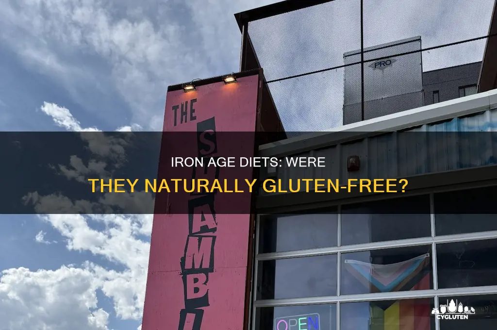 is iron age gluten free