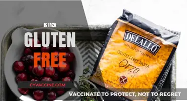 Is Irzo Gluten Free? A Comprehensive Guide to Its Ingredients