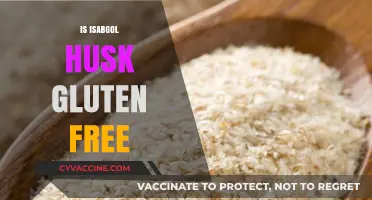 Is Isabgol Husk Gluten-Free? A Comprehensive Guide for Dietary Needs