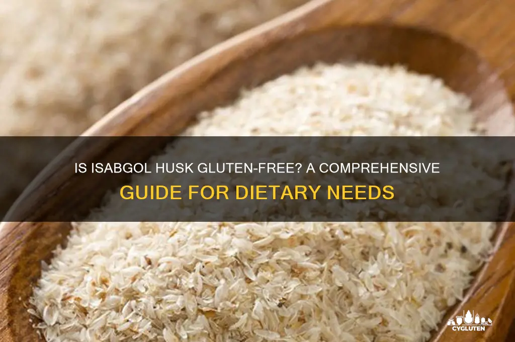 is isabgol husk gluten free