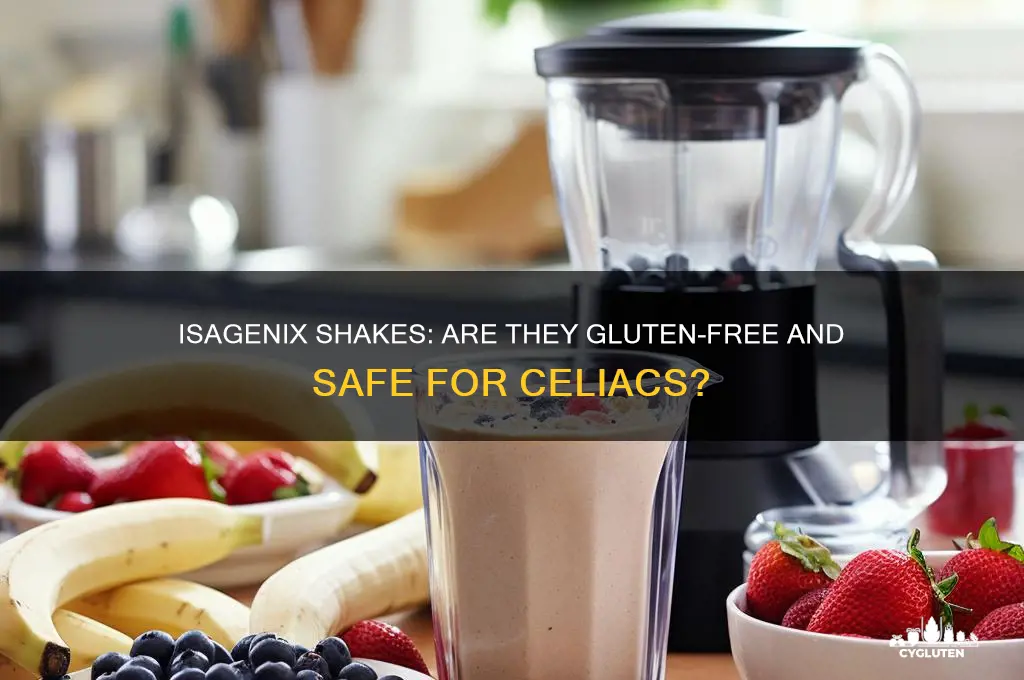 is isagenix shake gluten free