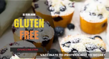 Is IsiBloom Gluten-Free? A Comprehensive Guide to Its Ingredients