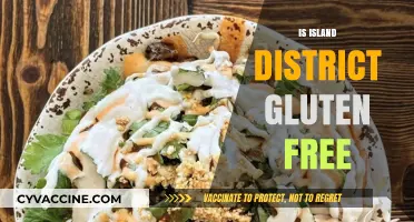 Exploring Island District: Are Their Menu Options Gluten-Free Friendly?
