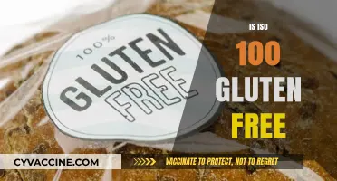 Is ISO 100 Gluten-Free? A Comprehensive Guide to Your Protein Powder
