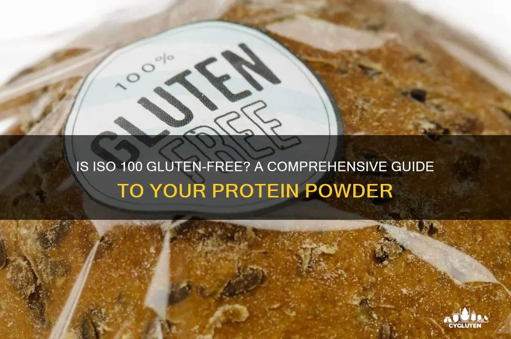 is iso 100 gluten free