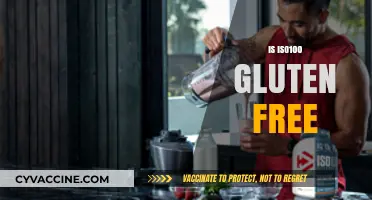 Is ISO100 Gluten-Free? A Comprehensive Guide for Fitness Enthusiasts