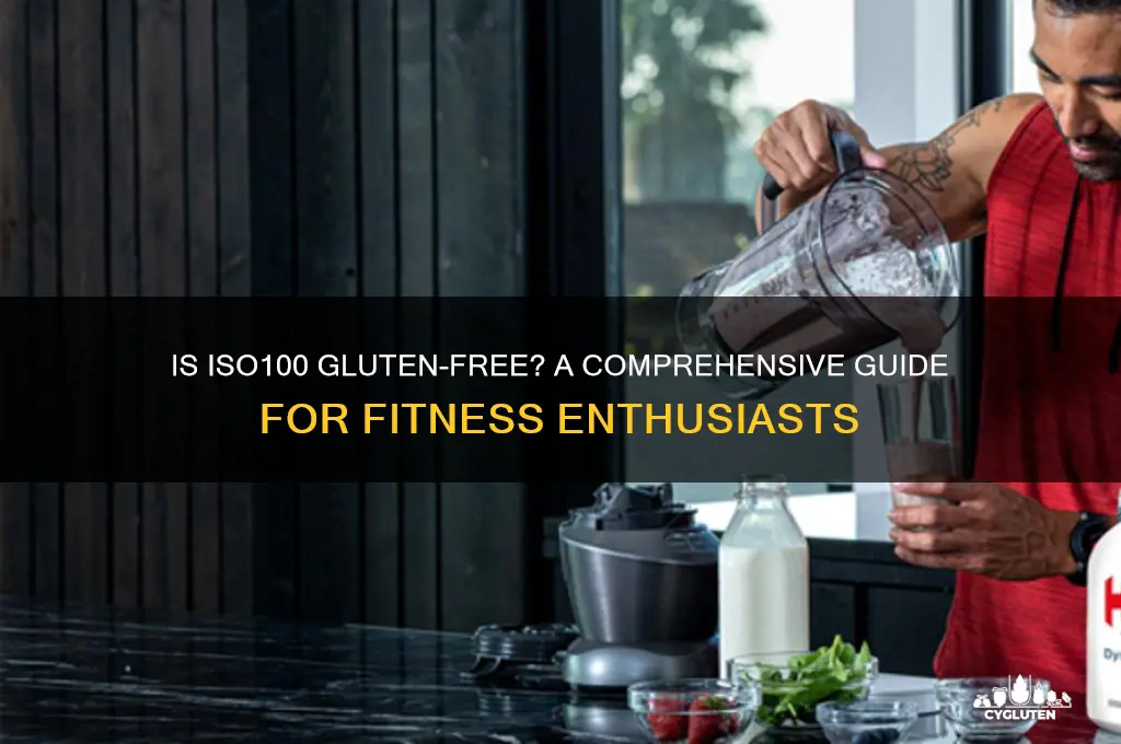 is iso100 gluten free
