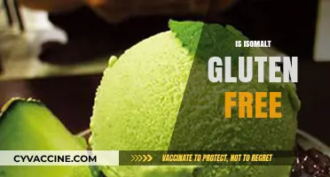 Is Isomalt Gluten-Free? A Comprehensive Guide for Dietary Needs