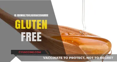 Is Isomaltooligosaccharide Gluten-Free? Understanding This Prebiotic Fiber